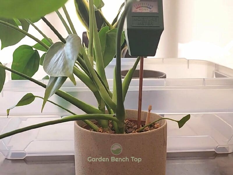 Test Soil in Multiple Locations