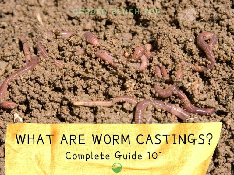 What are Worm Castings cover