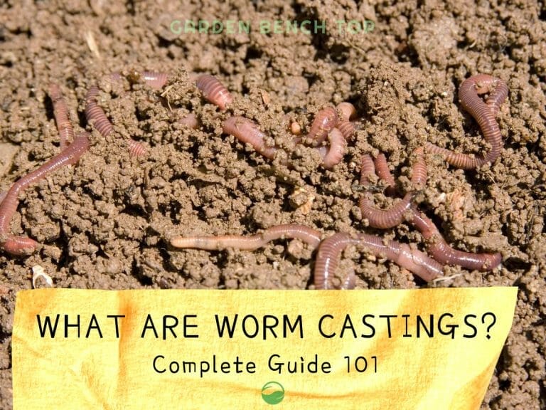 What are Worm Castings