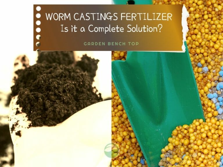 What is Worm Castings Fertilizer