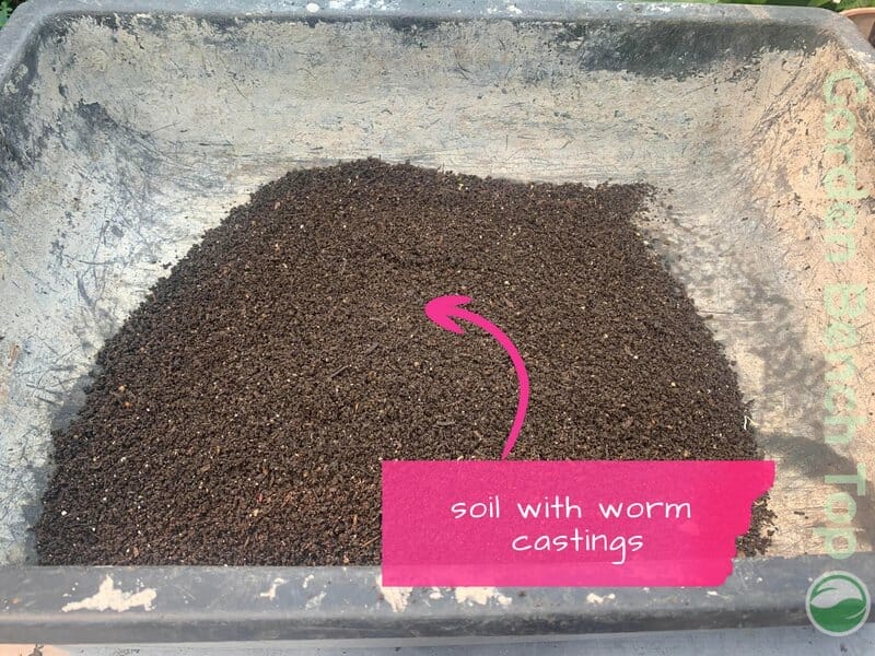 soil with worm castings