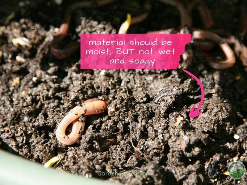 testing moisture levels in worm farms