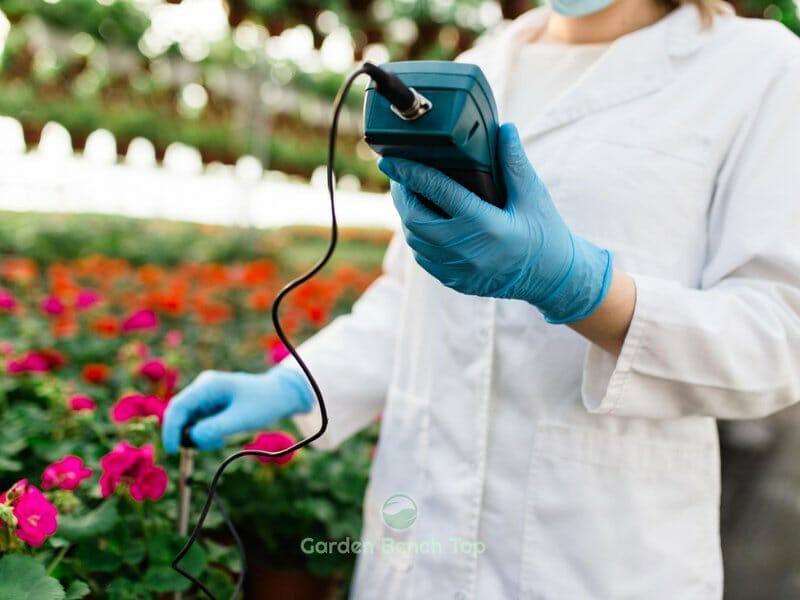 testing pH levels of soil