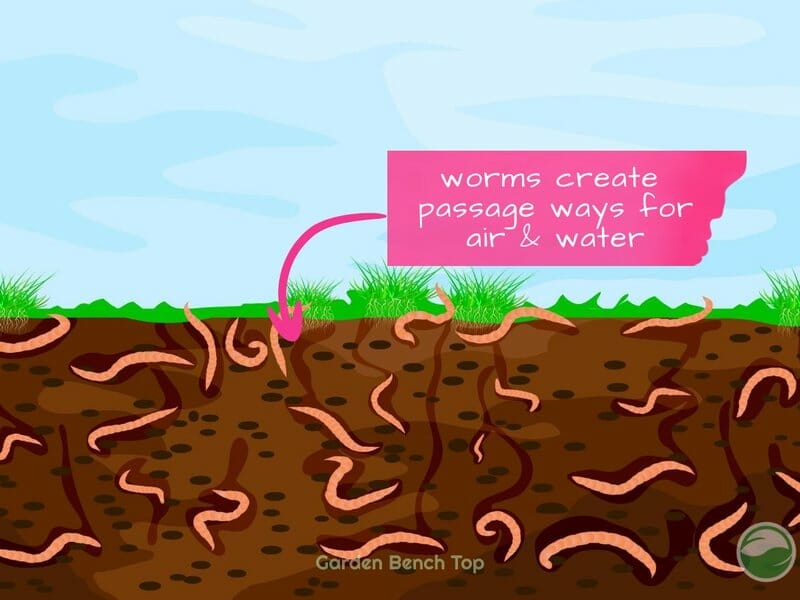 worm castings improve soil structure