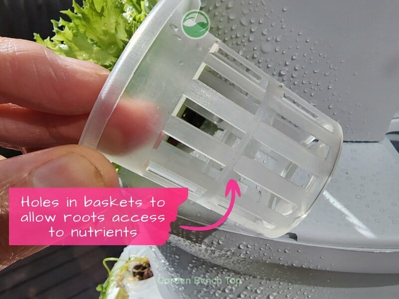 Aeroponics netted baskets