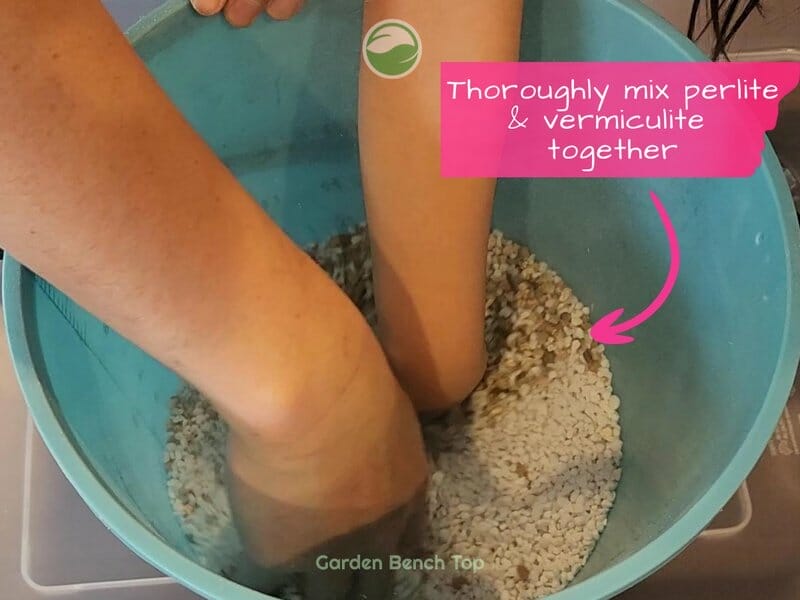 Combine soilless seed starting Mix