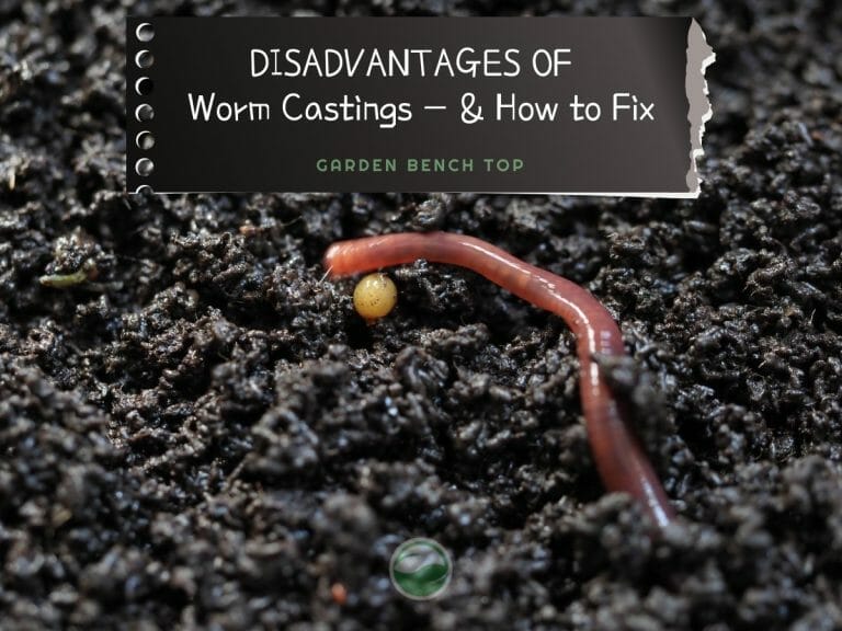 Disadvantages Worm Castings cover