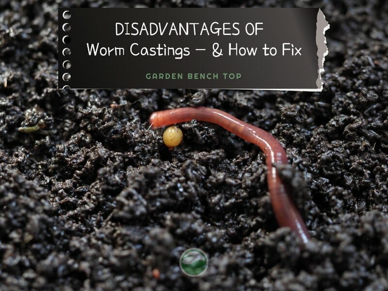 Disadvantages Worm Castings