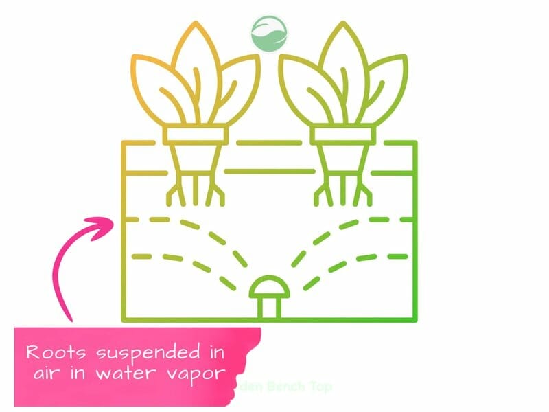 How Aeroponics works