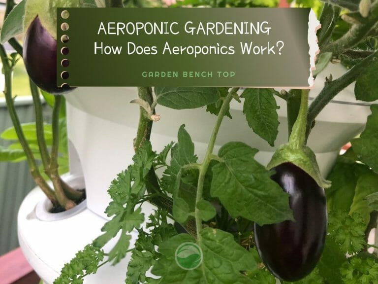 How Does Aeroponics Work cover