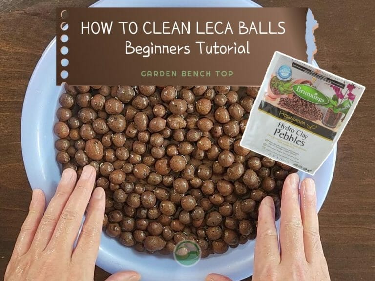 How to Clean LECA Balls