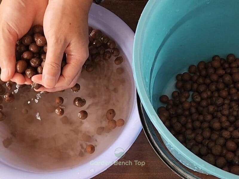 Remove and Rinse LECA