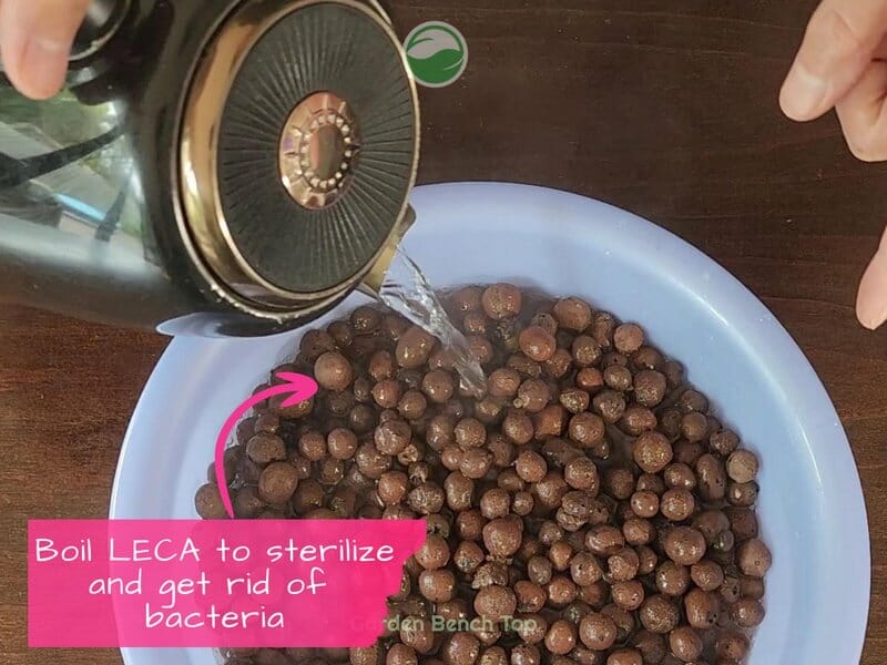 Sterilize and prepare LECA