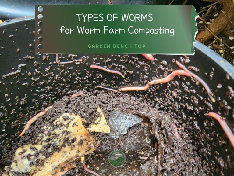 Worms for Vermicomposting
