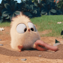 bird hugging worms for vermicomposting