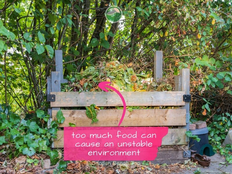 Don't feed too much food to worms