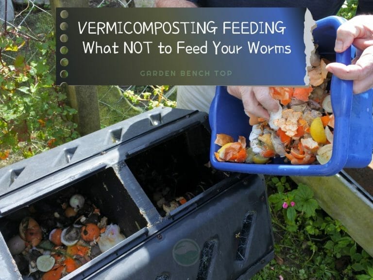What NOT to Feed Your Worm Farms