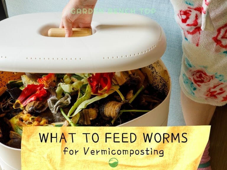 What to Feed Worms in Vermicomposting
