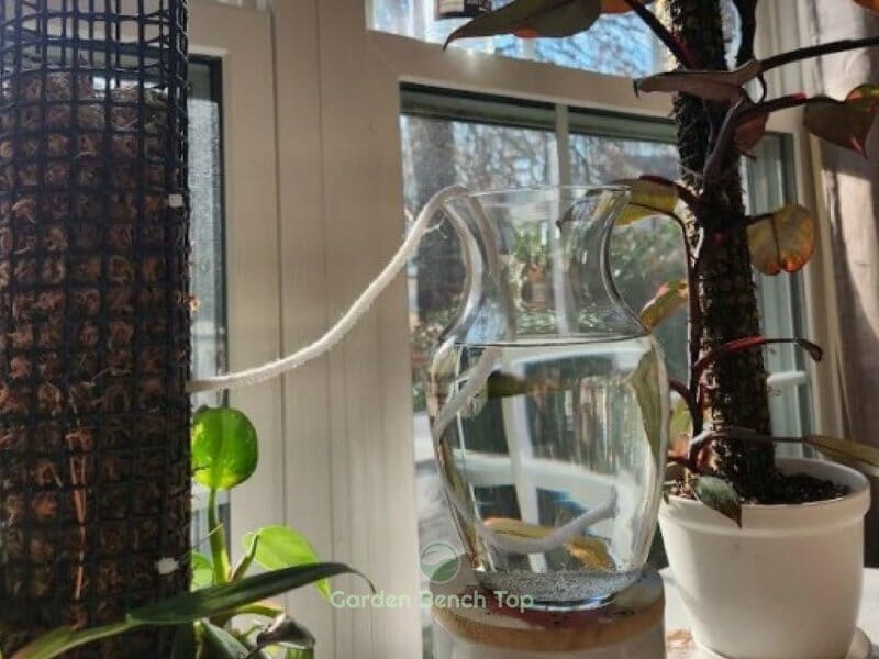 DIY self watering moss pole