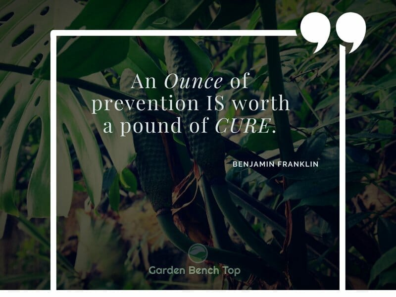 Quote from Benjamin Franklin