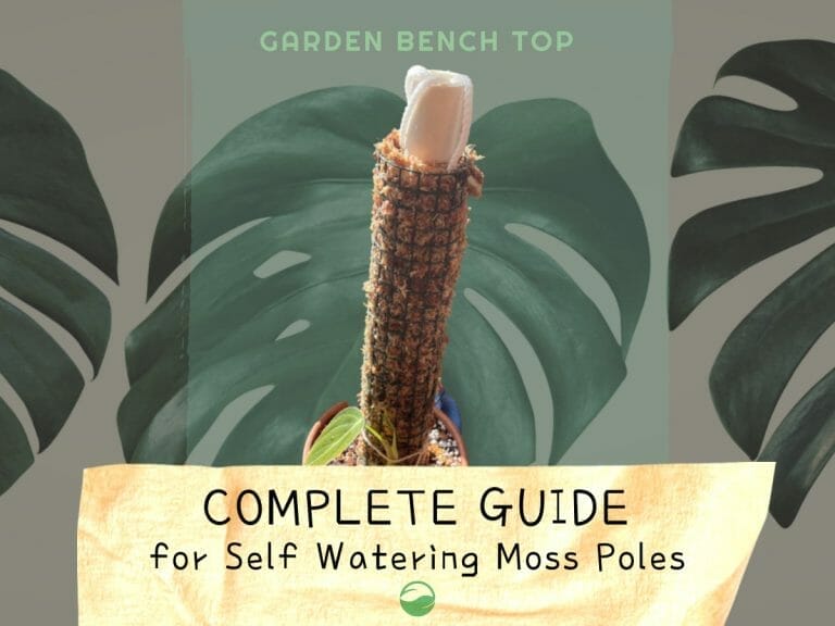Self Watering Moss Pole cover