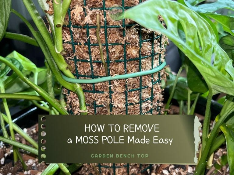 How to Remove a Moss Pole