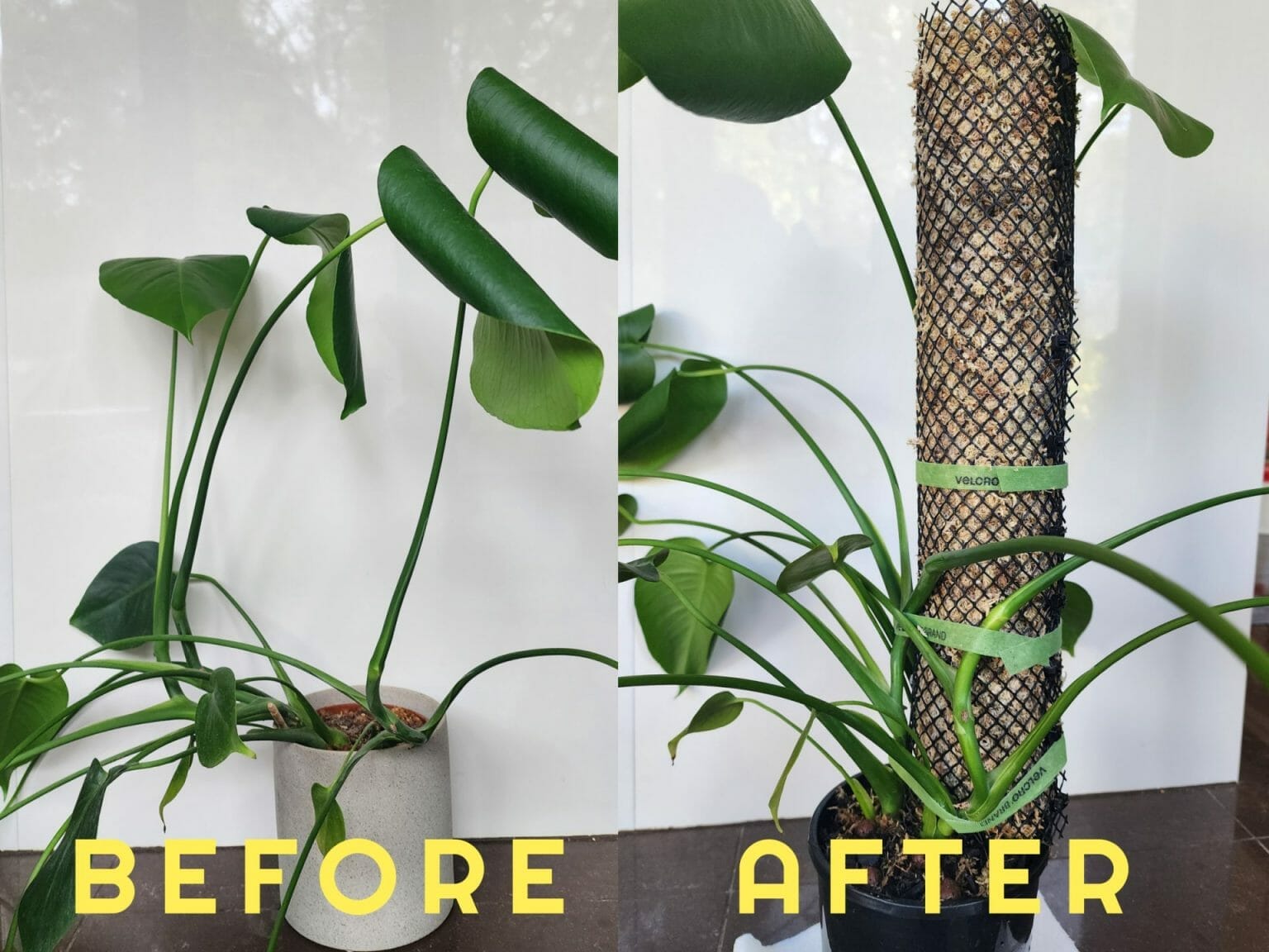 How to Make a DIY Self Watering Moss Pole Tutorial with Real Pictures!