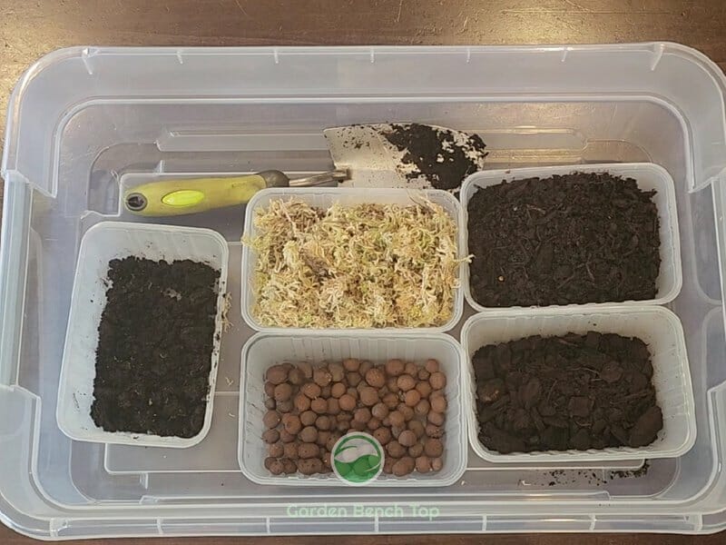 Best Monstera Soil Ingredients