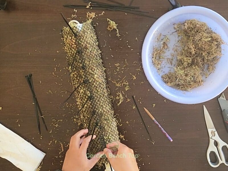 Complete Self Watering Moss Pole