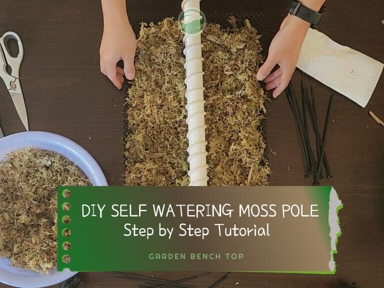 DIY Self Watering Moss Pole