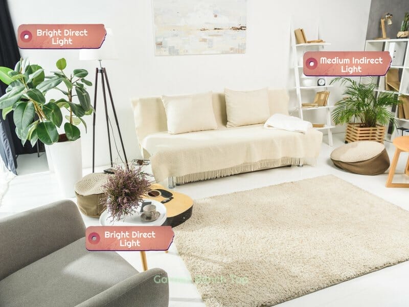 living room with bright light and medium light