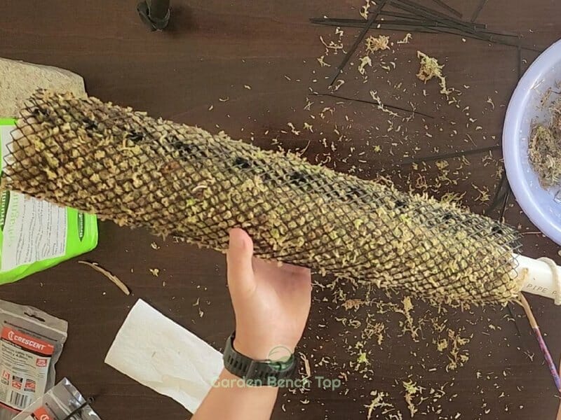 Finished Self Watering Sphagnum Moss Pole