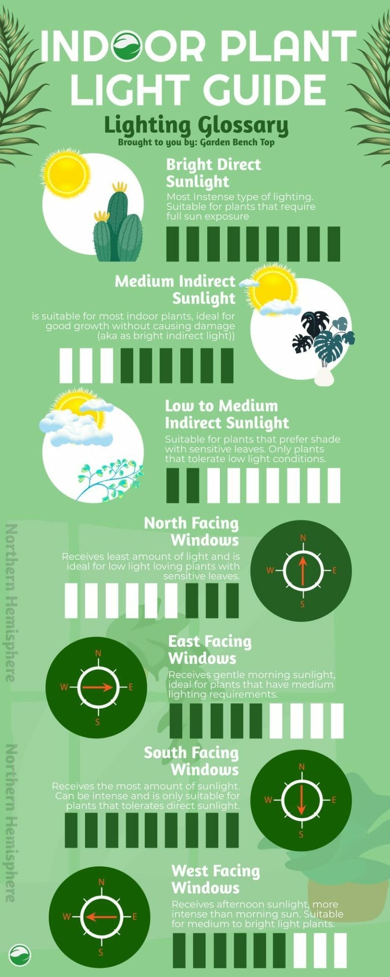 Indoor Plant Light Guide Infographic
