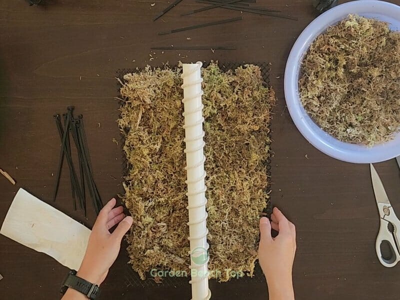 Layer Sphagnum Moss & Pipe