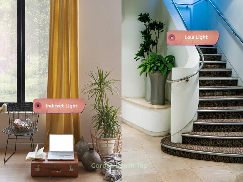 examples of spaces with indirect and low light