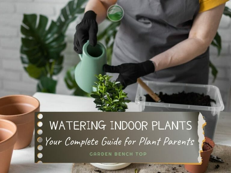 Indoor Plant Watering Guide cover