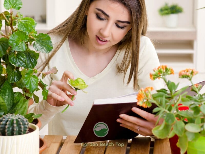 Learning about your Plant baby