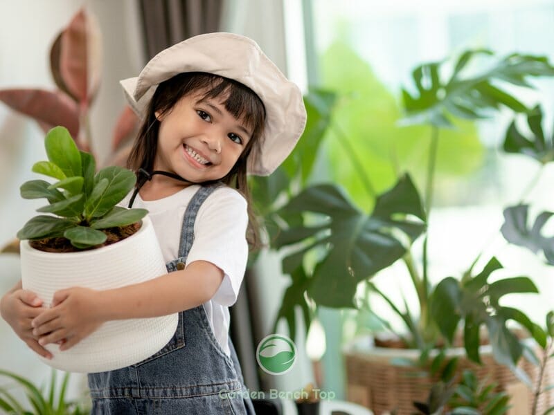 Maintenance for Indoor Plants