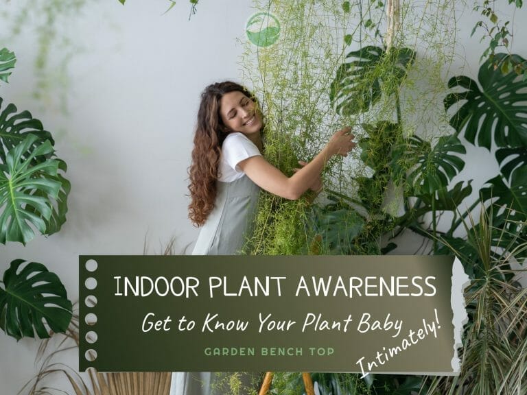 Plant Awareness cover