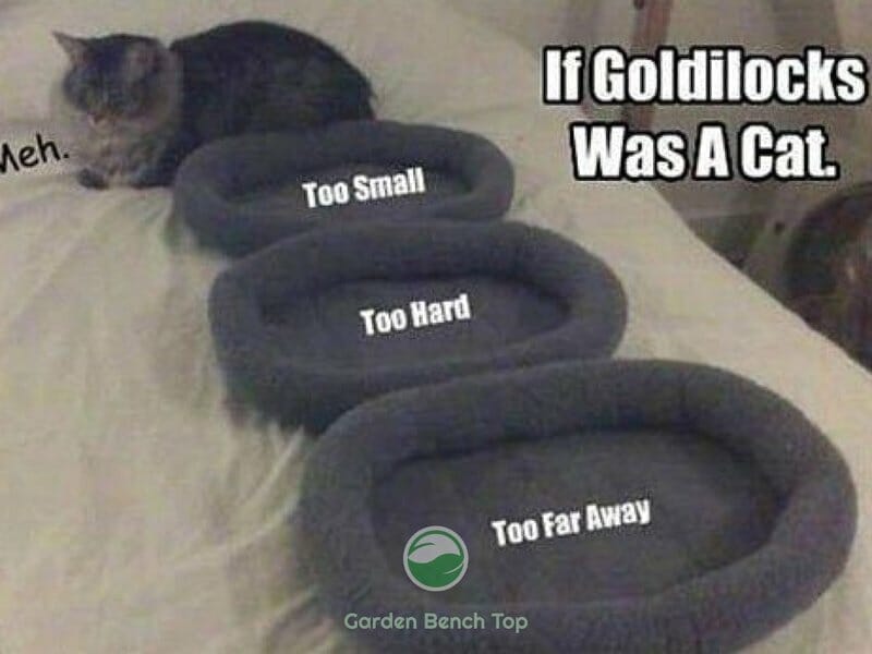 Plants goldilocks principle