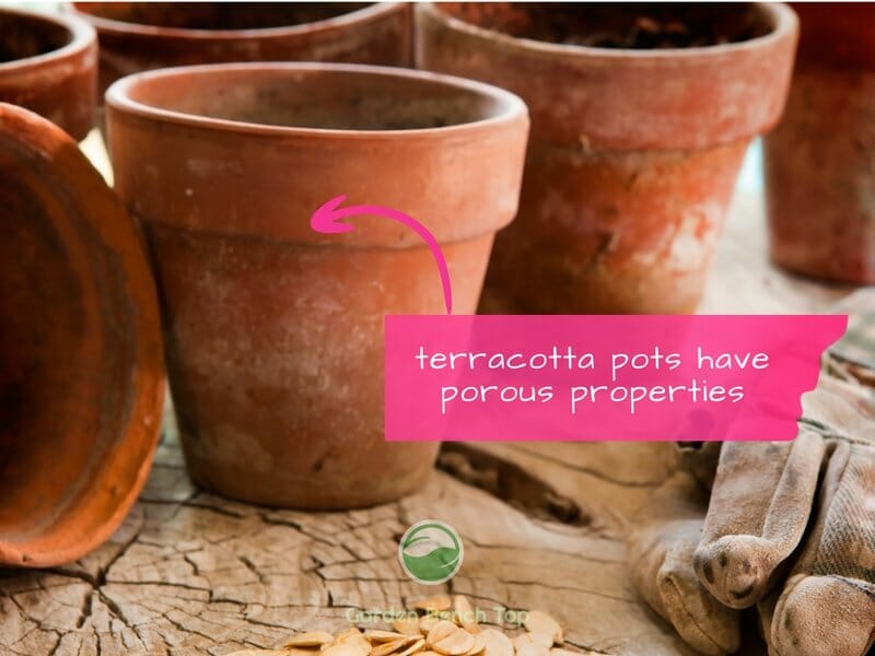 empty terracotta pots 