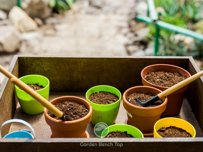 Potting Soil in Various Pots