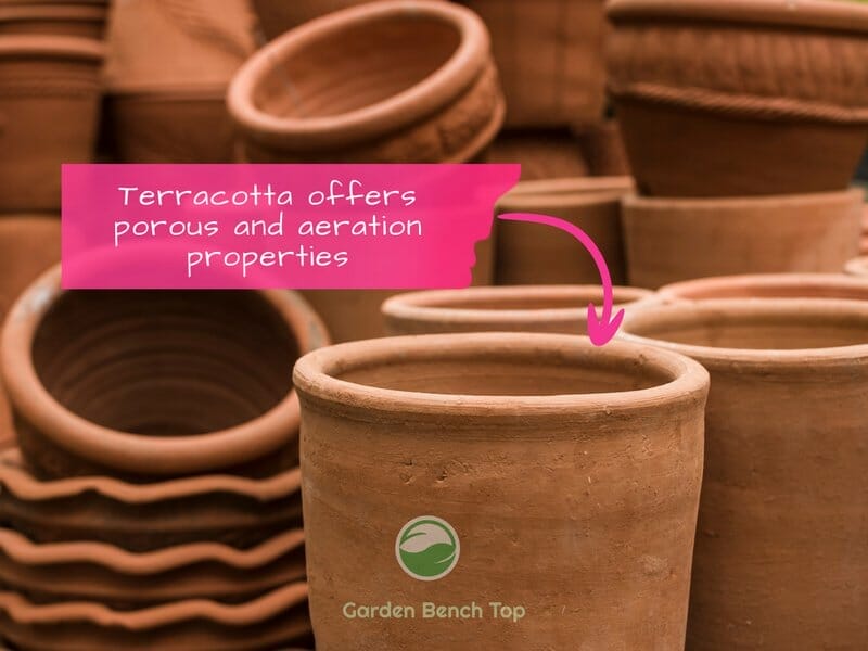 Terracotta pots are great for Philodendrons