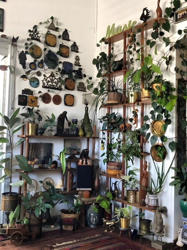 Bohemian Plant Wall Decoration