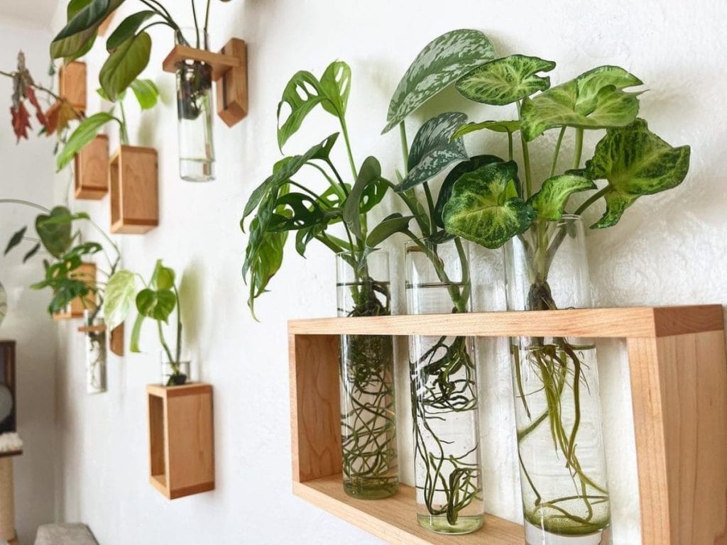 Various Plants In A Jar Plant Wall Design