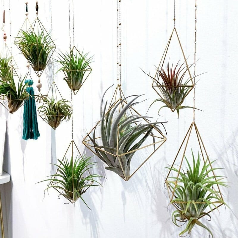 Abstract Planters