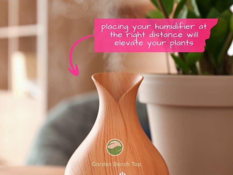 humidifier blowing steam out