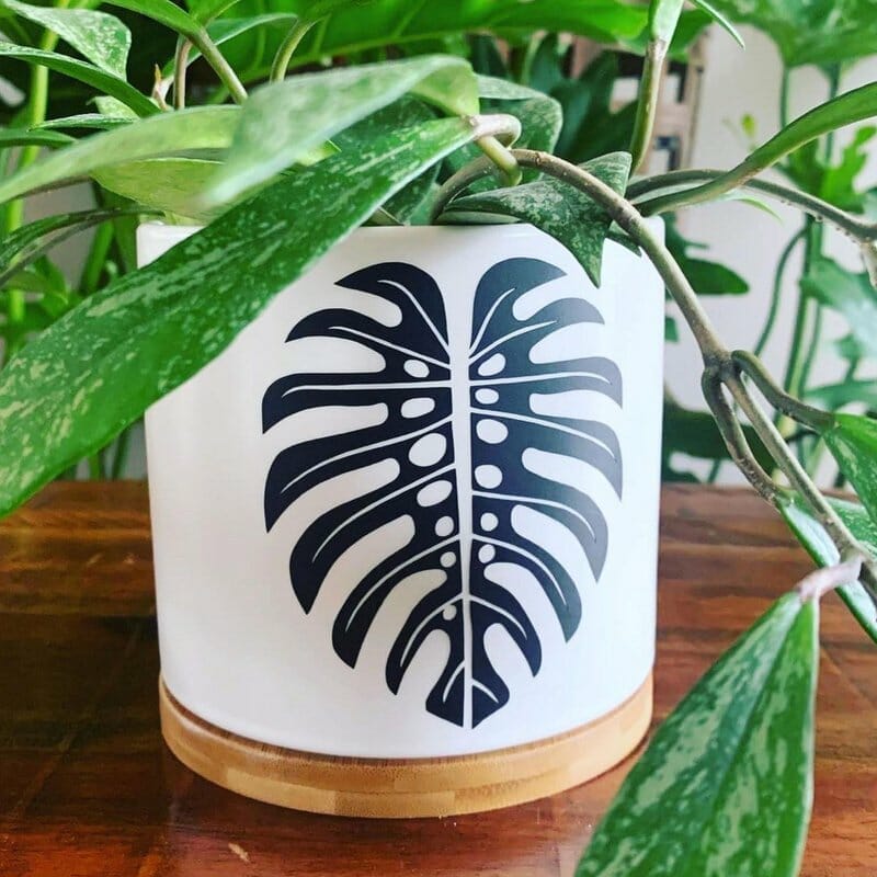 Plant Decals