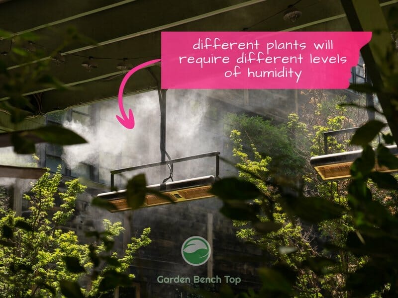 outdoor plants with humidity in air