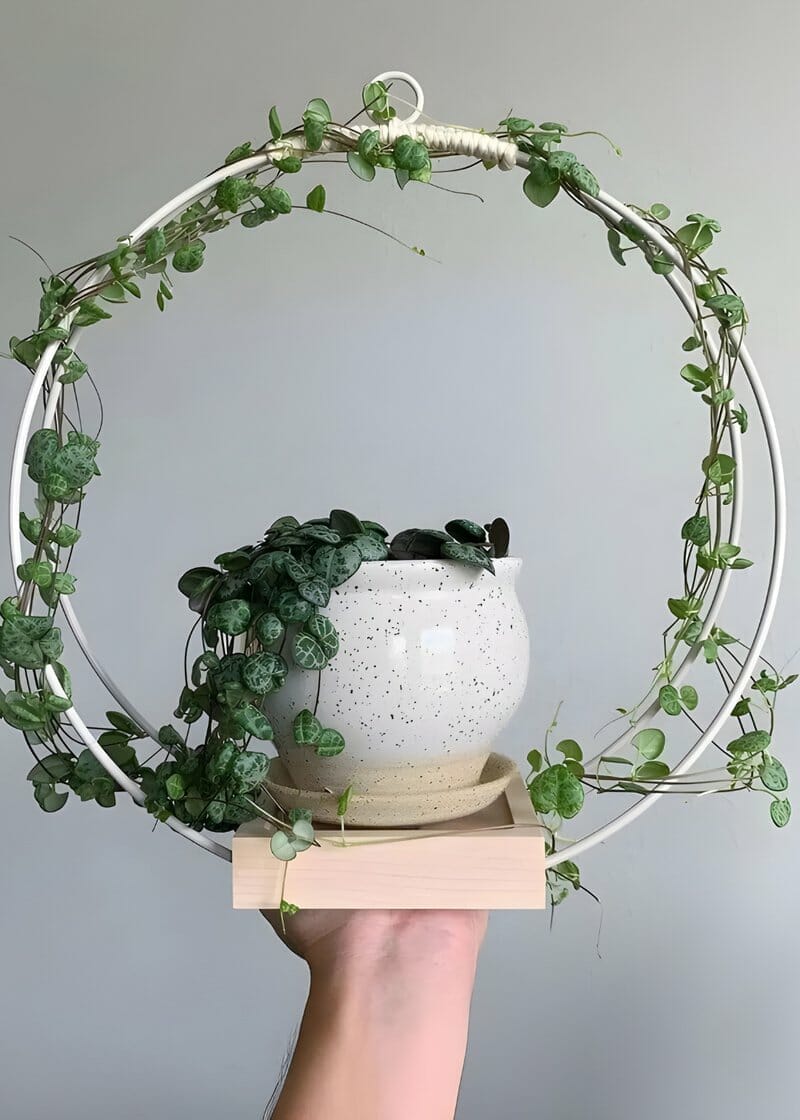 Trellis Stand